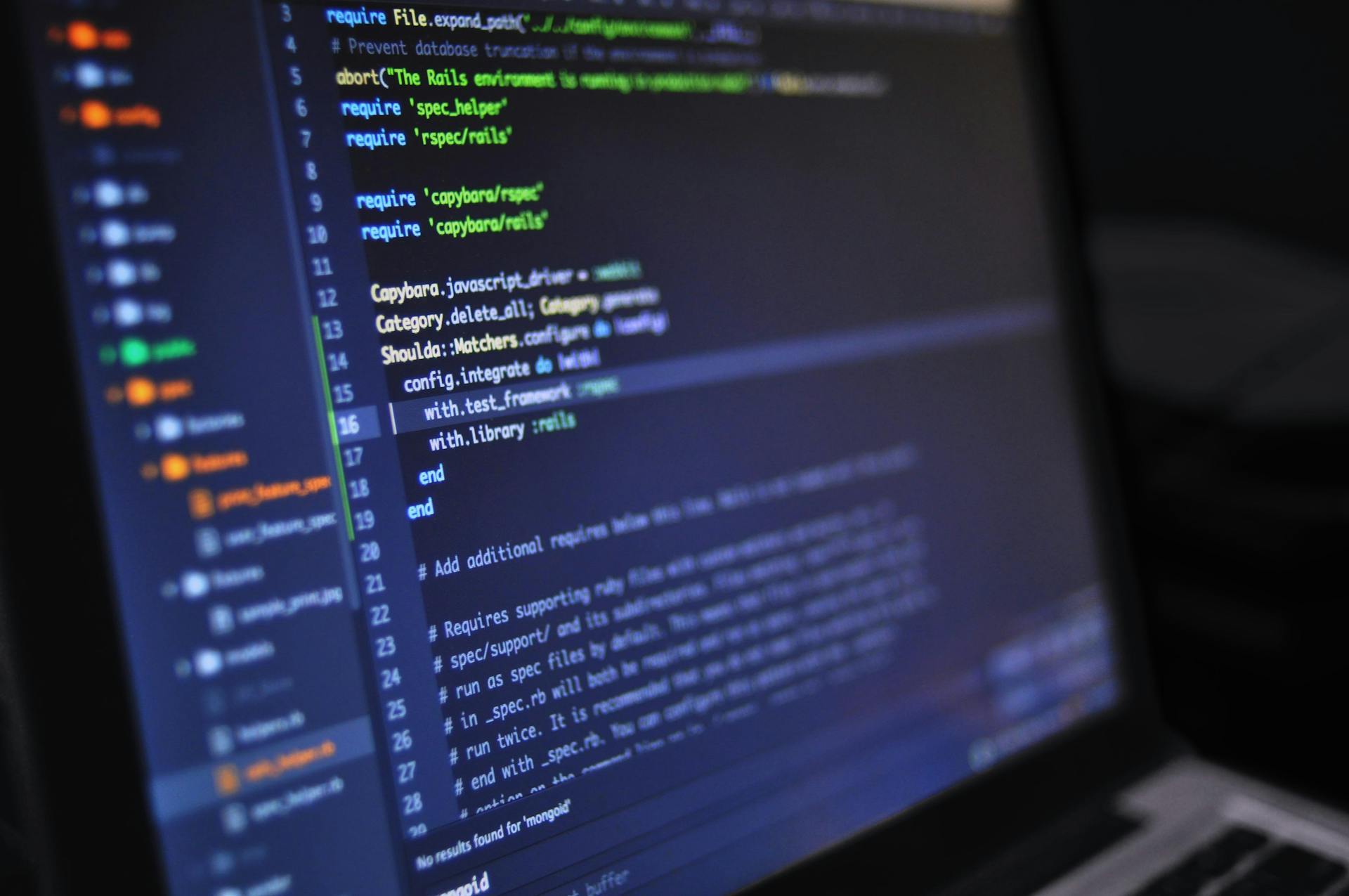 Sviluppo software